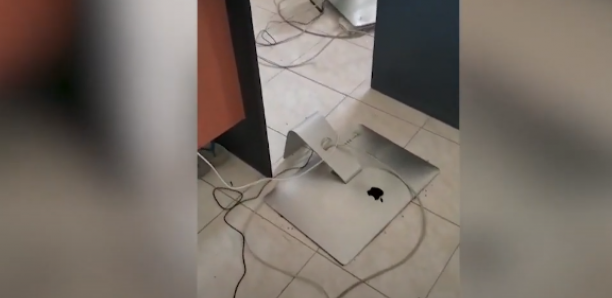 Saccage des locaux du journal "Les Echos" par « des disciples » de Serigne Moustapha Sy