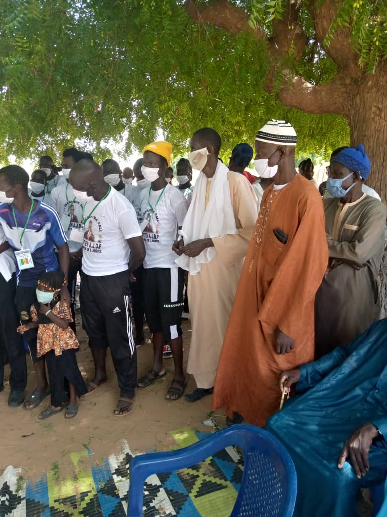 L'Association des jeunes de Padé  a célébré la Journée nationale de l'Arbre sous le haut parrainage de Ibrahima Sall, économiste et président du MODEL