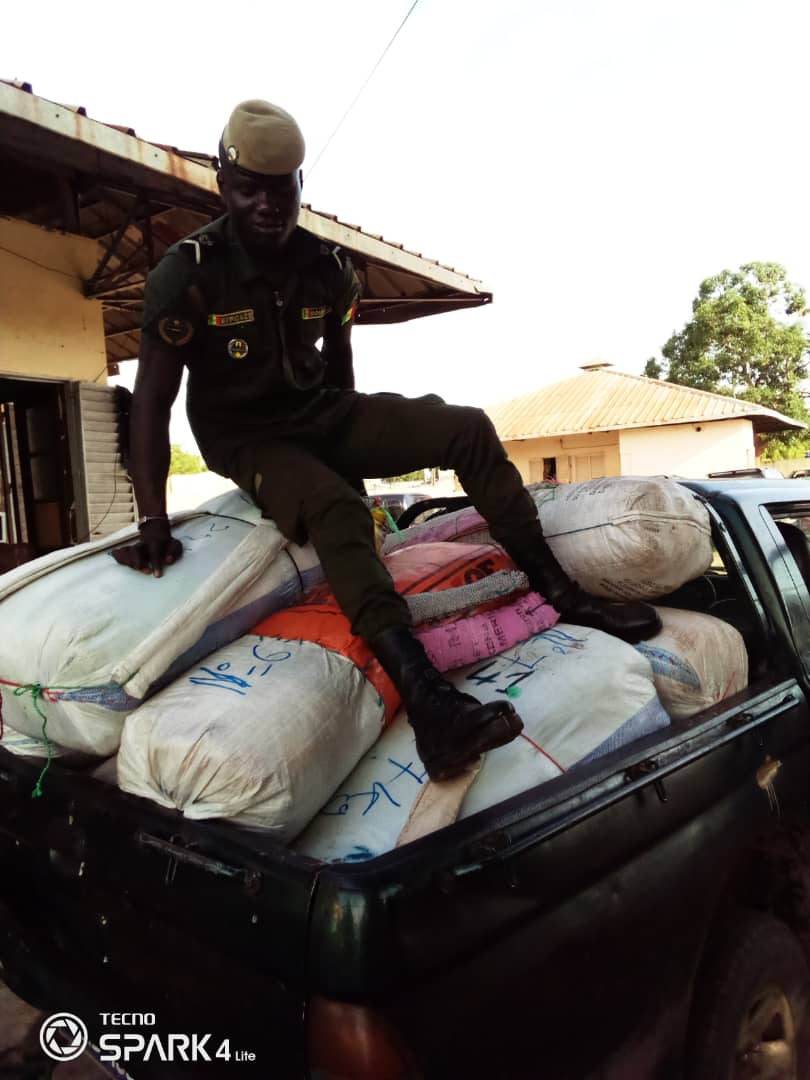 LUTTE CONTRE LE TRAFIC INTERNATIONAL DE STUPEFIANTS: 456 kg de chanvre indien saisis en 24h par la subdivision des Douanes de Fatick