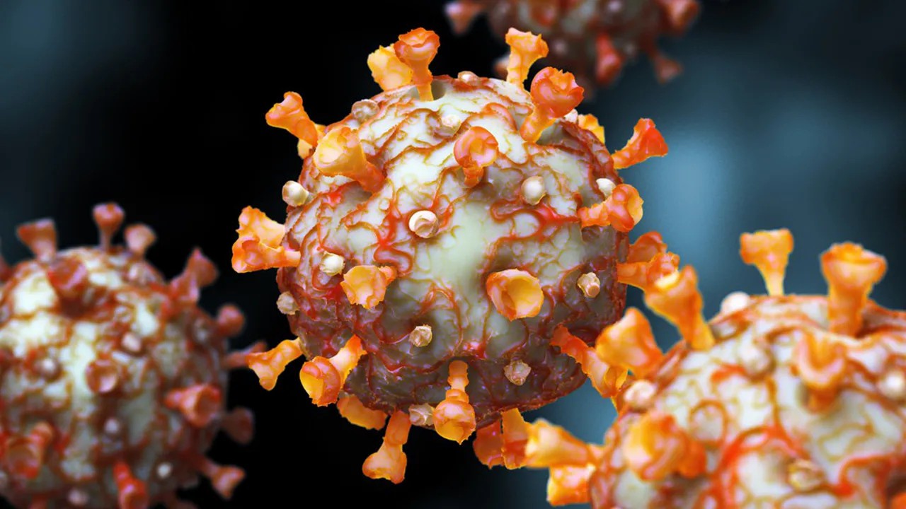 Coronavirus : ce qu'on sait… et ce qu'on ne sait toujours pas