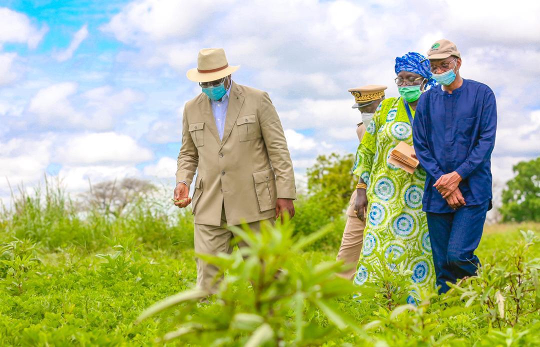 Tournée agricole de Macky Sall: En images, l'étape de Sibassor