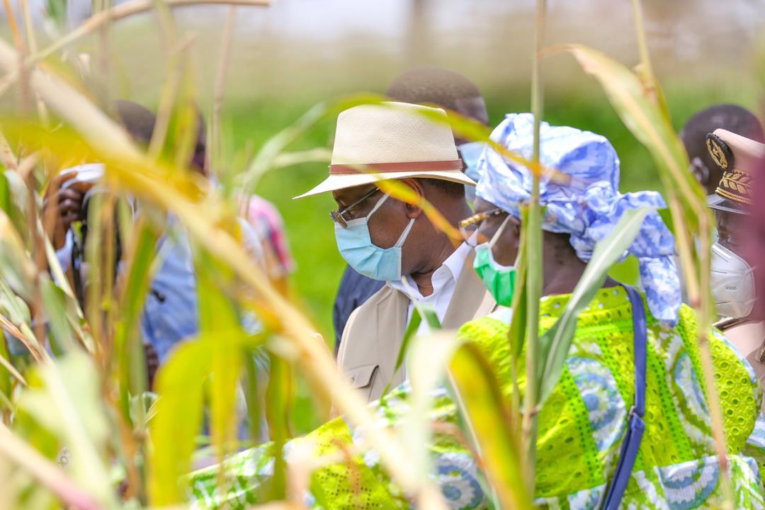 Tournée agricole de Macky Sall: En images, l'étape de Sibassor