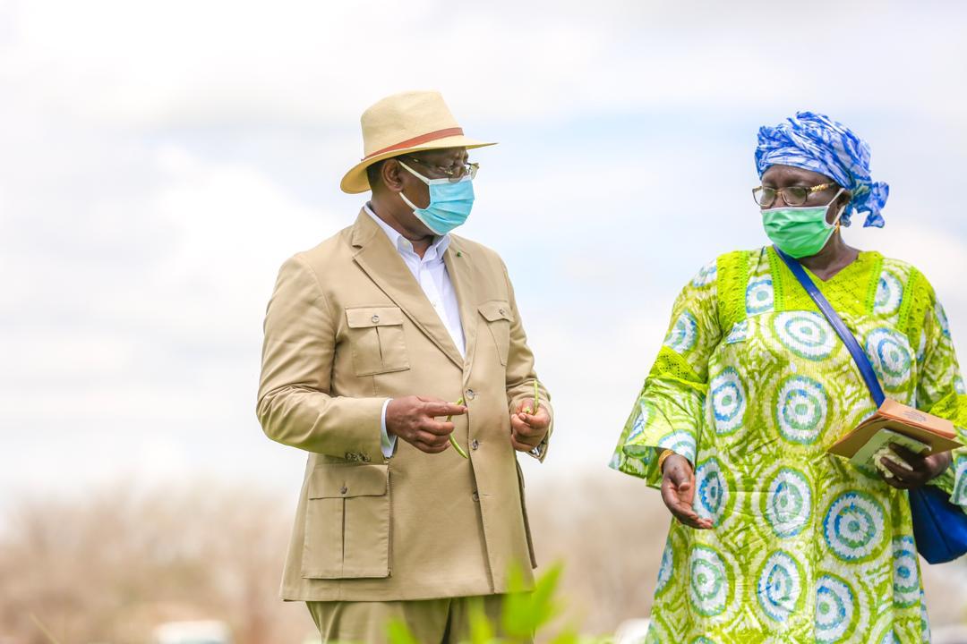 Tournée agricole de Macky Sall: En images, l'étape de Sibassor