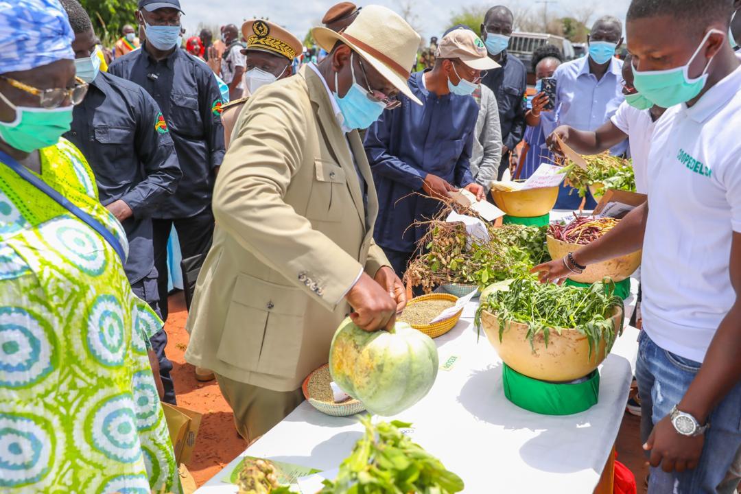 Tournée agricole de Macky Sall: En images, l'étape de Sibassor