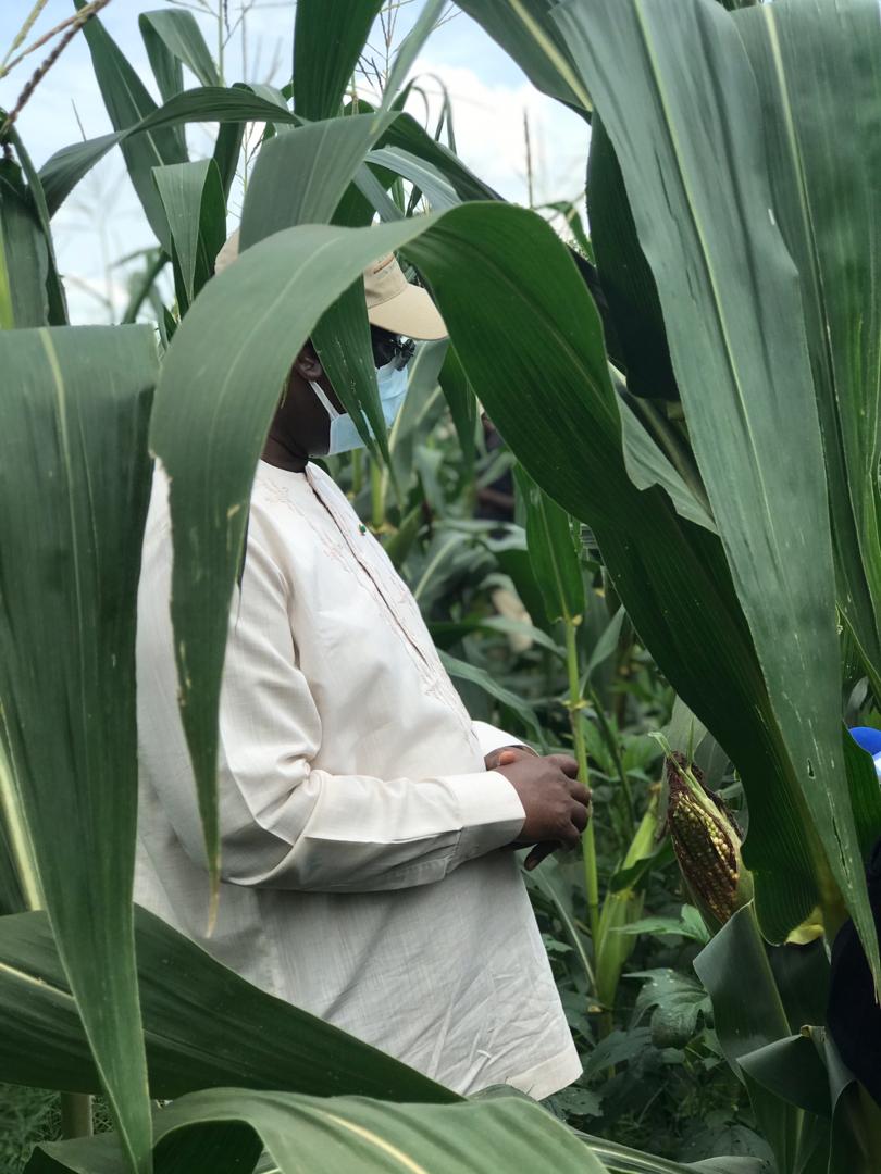 VIDEO+PHOTOS/ Visite économique: Le Président Macky Sall sur les routes du Nioro en direction des champs