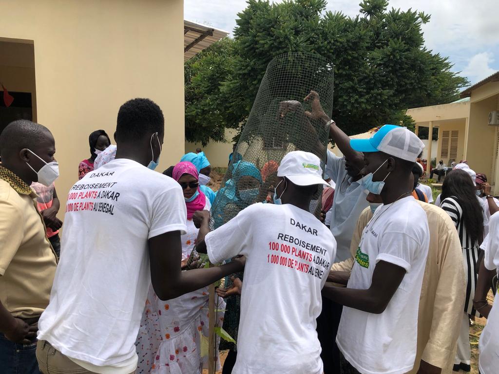 Reboisement national: Frass de Sangalkam répond à l'appel du chef de l’Etat, en plantant 500 arbres Reboisement national: Frass de Sangalkam répond à l'appel du chef de l’Etat, en plantant 500 arbres