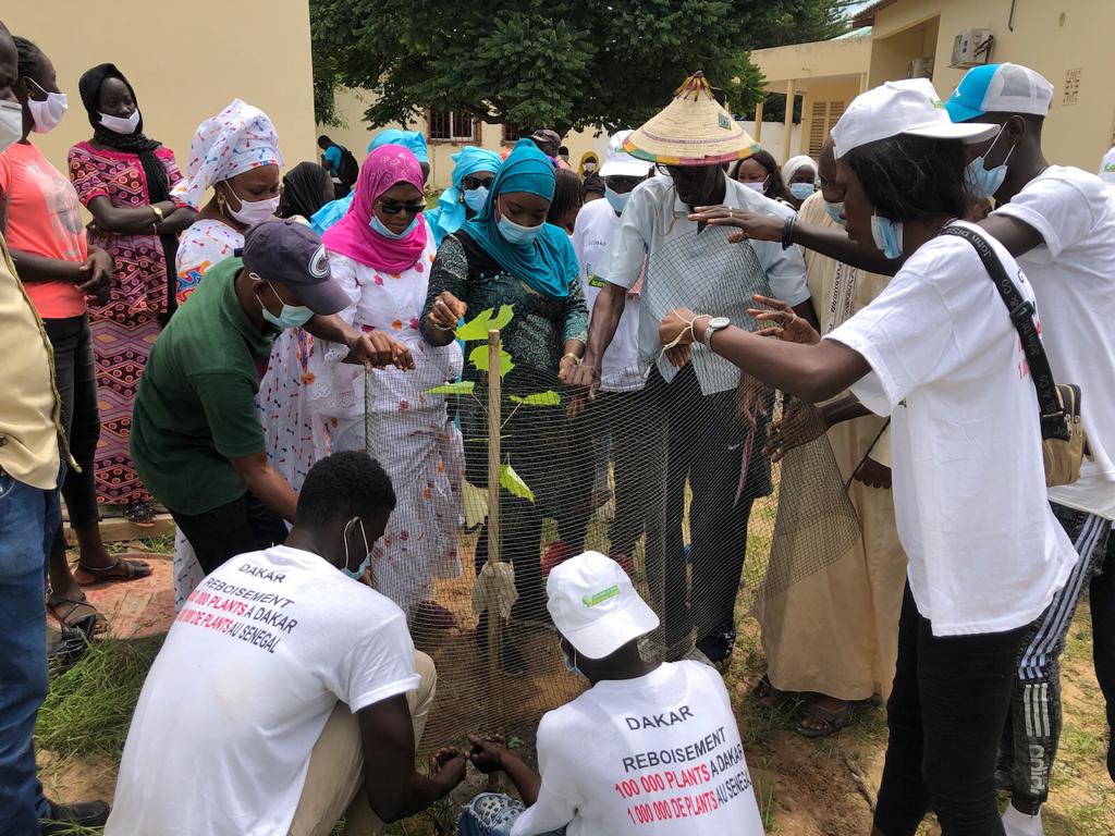 Reboisement national: Frass de Sangalkam répond à l'appel du chef de l’Etat, en plantant 500 arbres Reboisement national: Frass de Sangalkam répond à l'appel du chef de l’Etat, en plantant 500 arbres