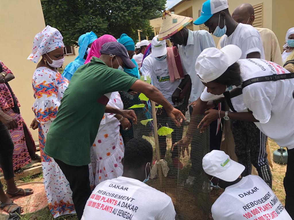 Reboisement national: Frass de Sangalkam répond à l'appel du chef de l’Etat, en plantant 500 arbres Reboisement national: Frass de Sangalkam répond à l'appel du chef de l’Etat, en plantant 500 arbres