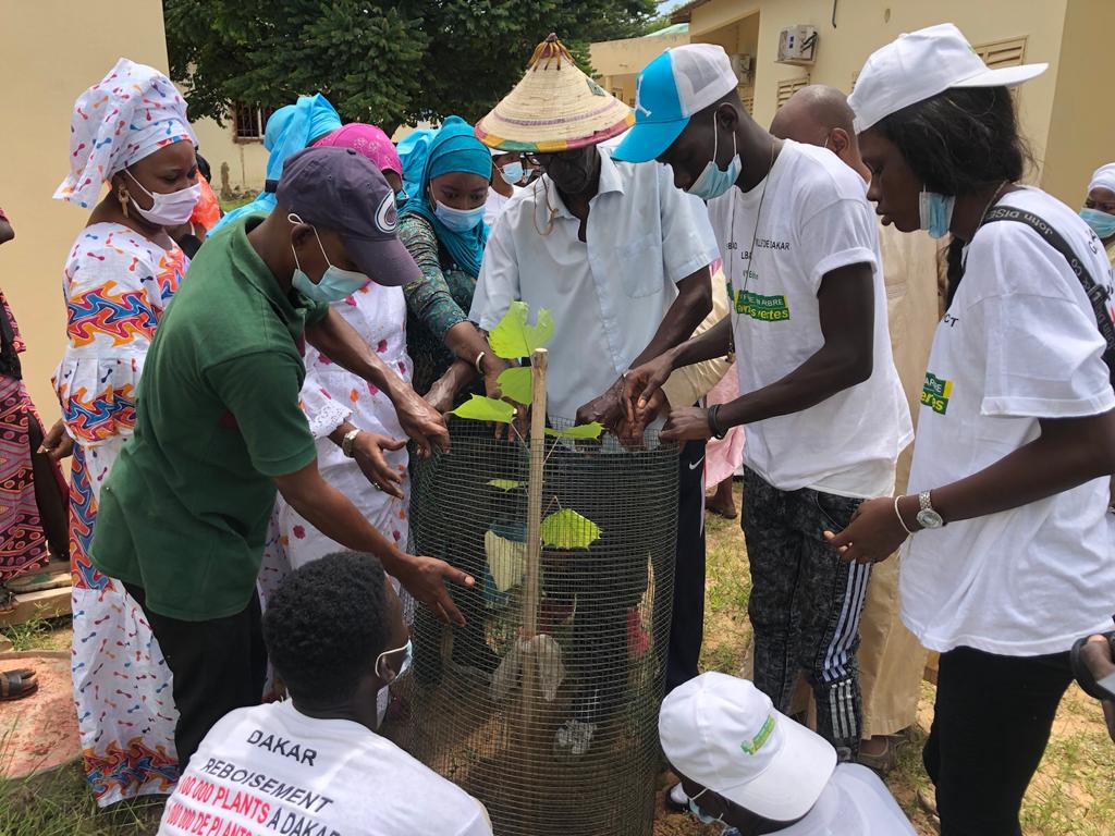 Reboisement national: Frass de Sangalkam répond à l'appel du chef de l’Etat, en plantant 500 arbres Reboisement national: Frass de Sangalkam répond à l'appel du chef de l’Etat, en plantant 500 arbres