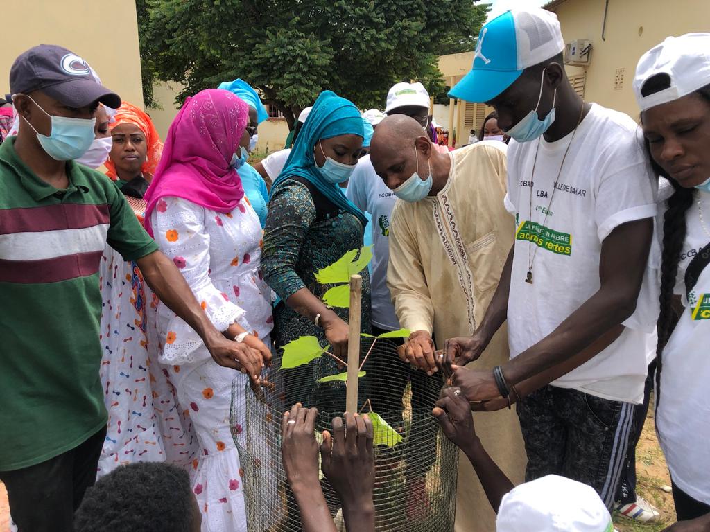 Reboisement national: Frass de Sangalkam répond à l'appel du chef de l’Etat, en plantant 500 arbres Reboisement national: Frass de Sangalkam répond à l'appel du chef de l’Etat, en plantant 500 arbres