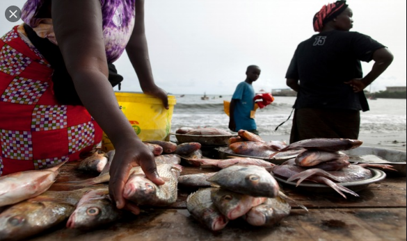 Journée internationale de l’alimentation: Macky Sall engage ses ministres à consolider la dynamique