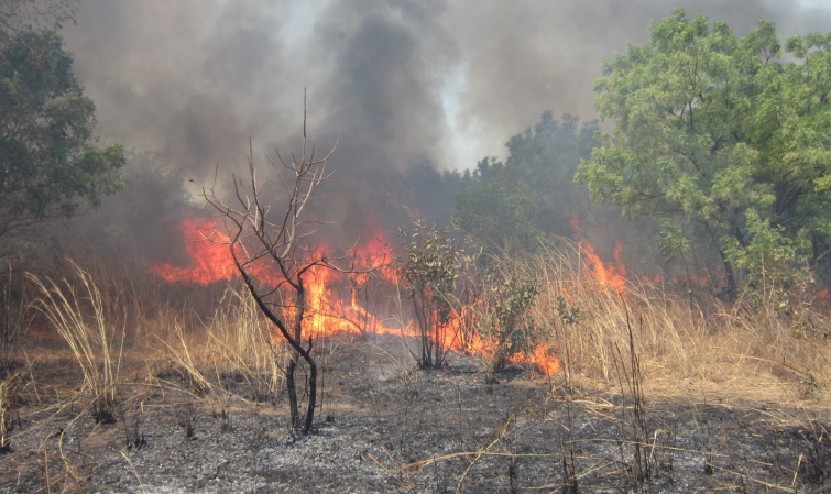 Environnement: 17 feux de brousse, plus de 5000 ha du tapis herbacé ravagés