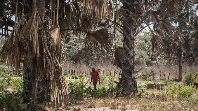 Ndiadiou: 3 jeunes portés disparus, le village en pleine psychose