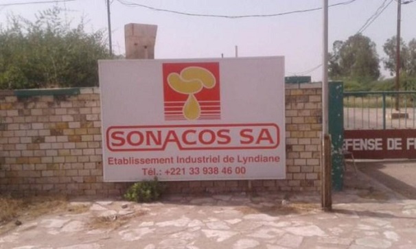Seules 1 414 tonnes d’arachide collectées: L’heure est grave à la SONACOS de Diourbel