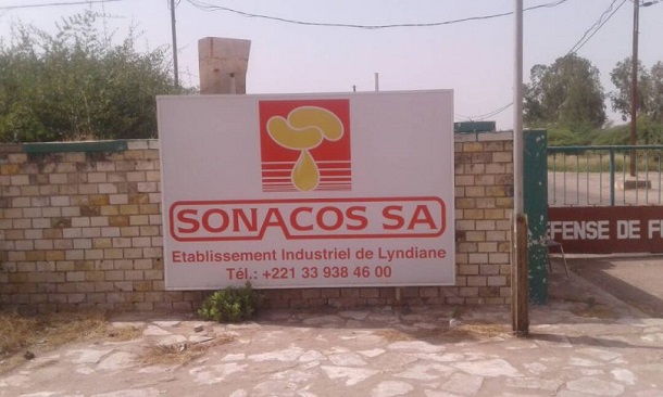Kaolack - Approvisionnement déficitaire en arachide: Les employés de la Sonacos exposent leurs craintes
