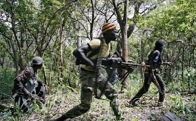 Forêt classée de Bayotte: 09 exploitants forestiers tabassés par des hommes armés