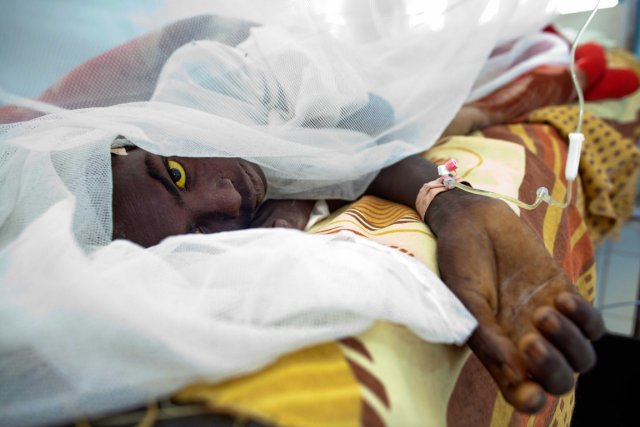 Santé /La fièvre jaune fait deux morts, 800.000 personnes en instance de vaccination