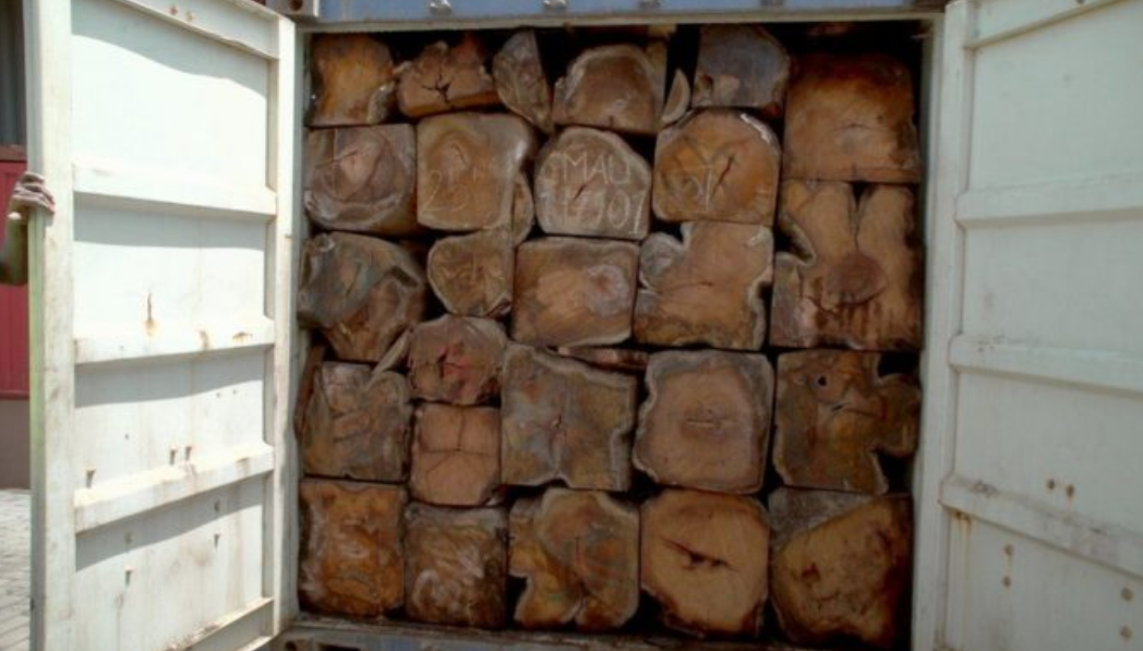 Trafic de bois de Casamance / 22 containers saisis, un suspect arrêté: La Gambie "s'achète" une bonne conduite