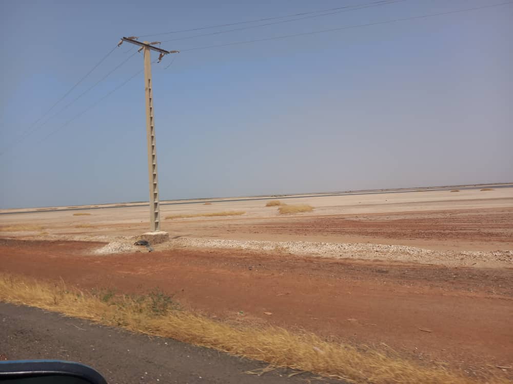 Fatick, une zone agricole à exploiter encore  Fatick, une zone agricole à exploiter encore