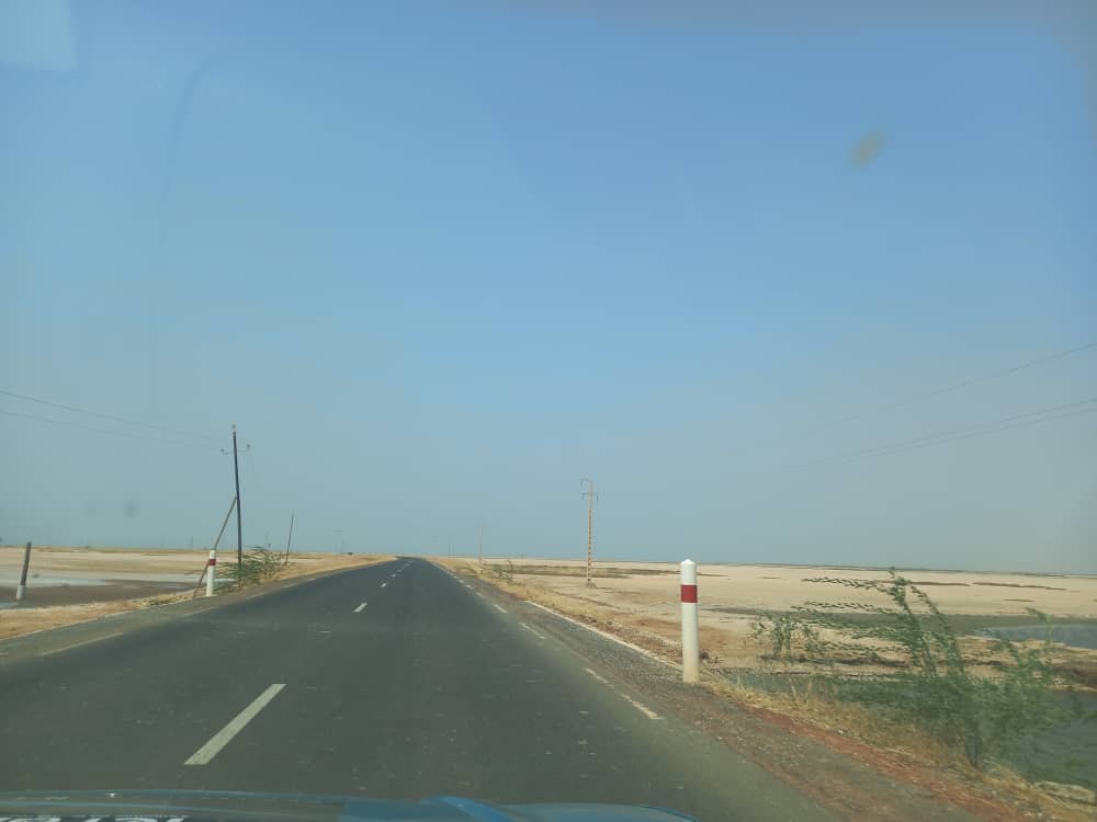 Fatick, une zone agricole à exploiter encore  Fatick, une zone agricole à exploiter encore