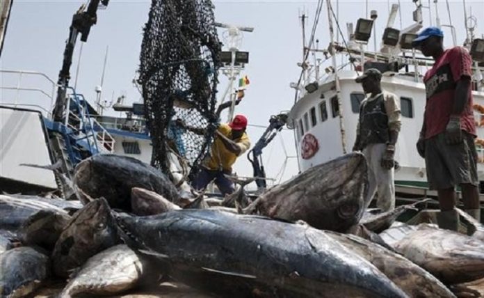 Accords de pêche: «Le Sénégal gagne moins de 10 milliards en 5 ans», révèle Moustapha Dieng, syndicaliste