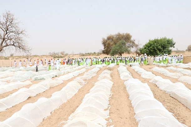 Eau-Santé-Education-Energie solaire: La Fondation Sonatel équipe Déguerre en infrastructures modernes de développement