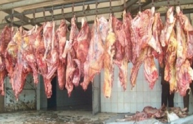 Accusés de vendre de la viande d’âne au Sénégalais: La grosse colère des chevillards de la Sogas