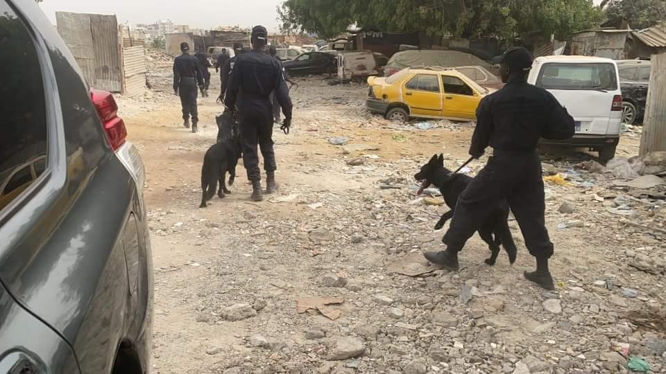 Ancienne piste: Plus de 800 personnes interpellées, des armes, de la drogue..., saisies (Photos) Ancienne piste: Plus de 800 personnes interpellées, des armes, de la drogue..., saisies (Photos)