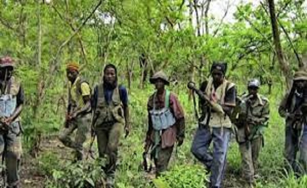 Opération de sécurisation en Casamance: L’Armée sénégalaise récupère cinq bases du MFDC