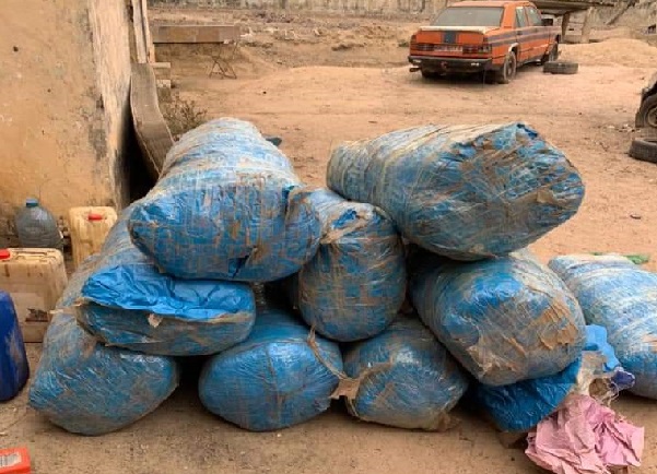 Coup de filet de la gendarmerie à Diouloulou: 237 kg de chanvre Indien saisis, 2  trafiquants interpellés