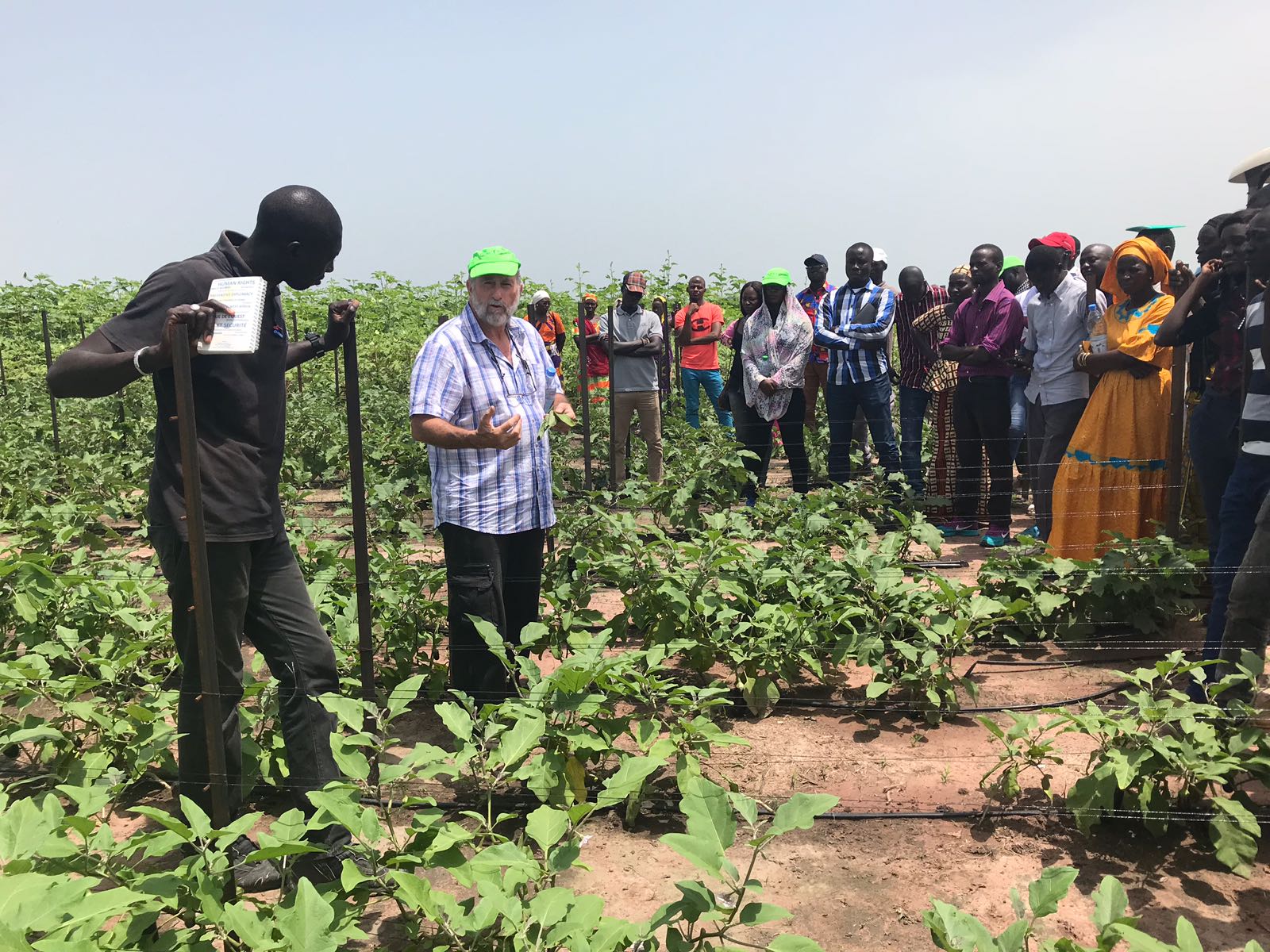 Domaines agricoles communautaires: Leur importance mise en exergue