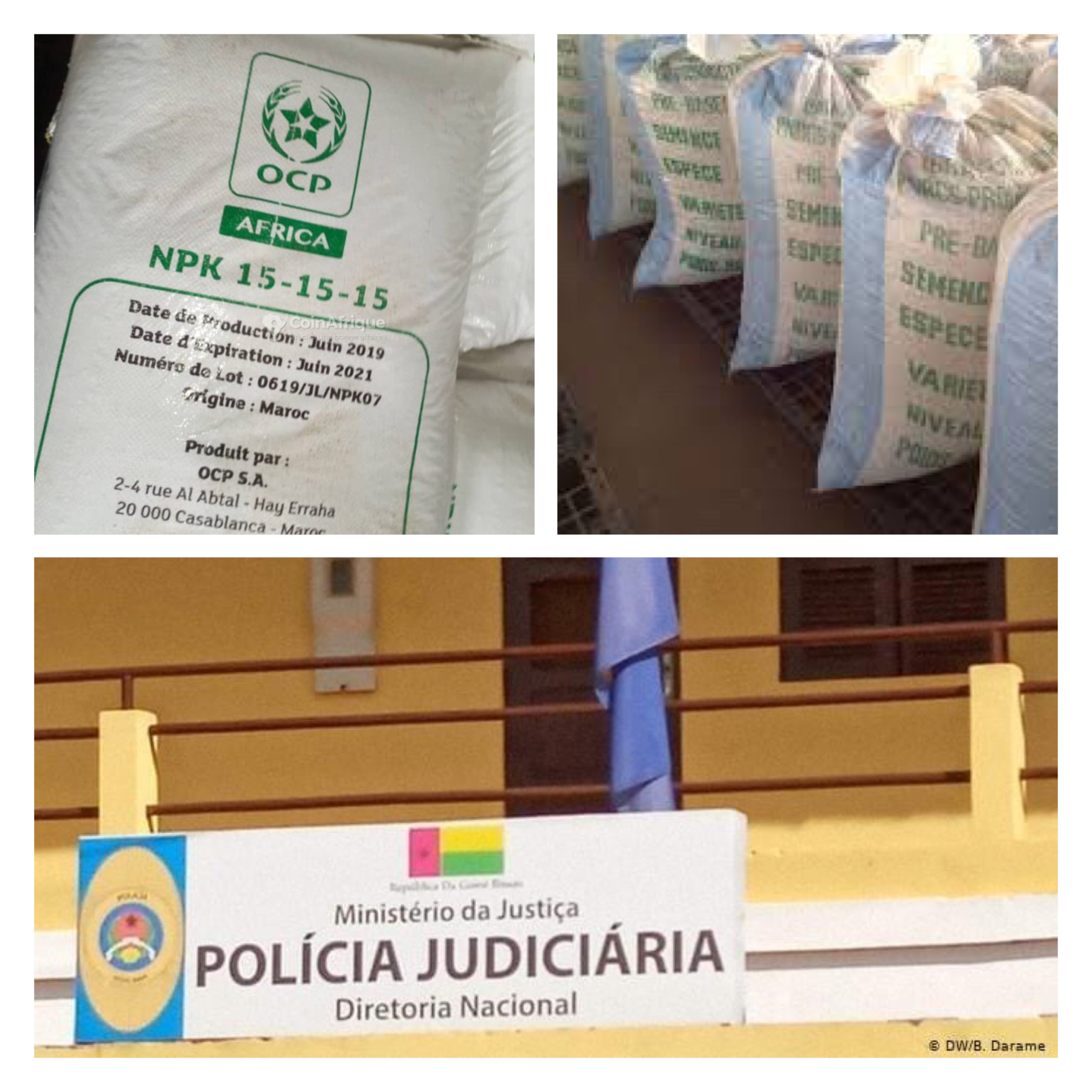 Exclusivité – Guinée Bissau : La Police judiciaire met la main sur plusieurs centaines de sacs de semences certifiées offertes par….Macky Sall