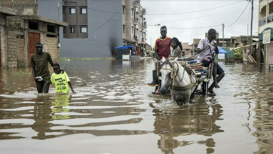 Guy Marius Sagna: « Les membres du gouvernement n’habitent pas dans les quartiers inondés »
