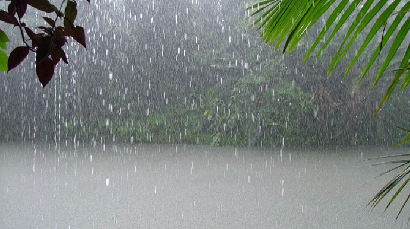 Météo: Fortes pluies et orages de tous les dangers ce vendredi et...