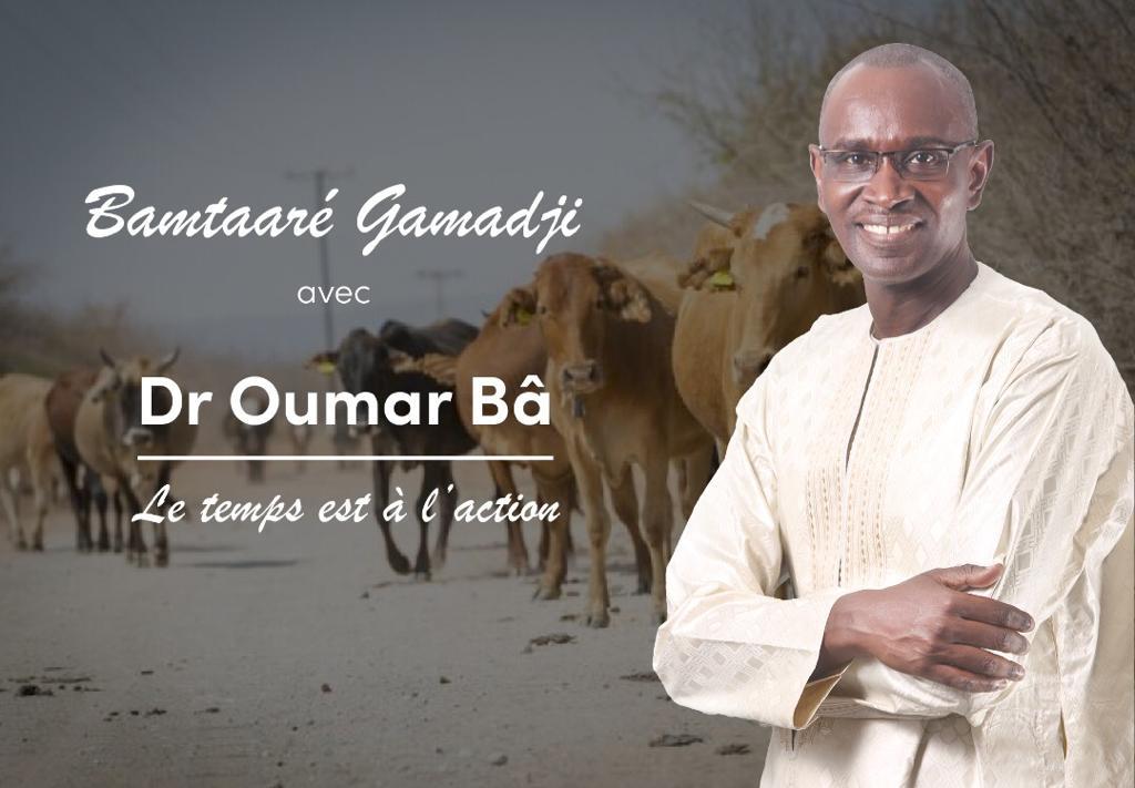 Le Docteur Oumar Bâ, investi par les populations à la Mairie de Gamadji Saré