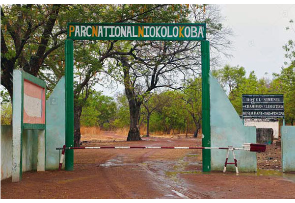 Environnement - Le parc déclaré patrimoine en péril : L’Etat veut sauver le Niokolo Koba