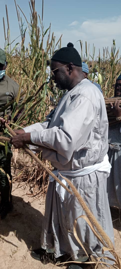 Récolte de Lagane 2021: Plus de 2000 personnes dont Samuel Sarr répondent à l'appel de Serigne Cheikh Saliou