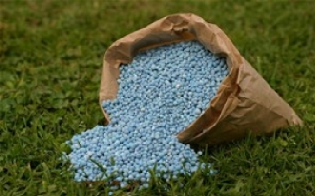 Augmentation du prix de l’engrais : Le sac d’urée va coûter 10 000 FCfa aux agriculteurs
