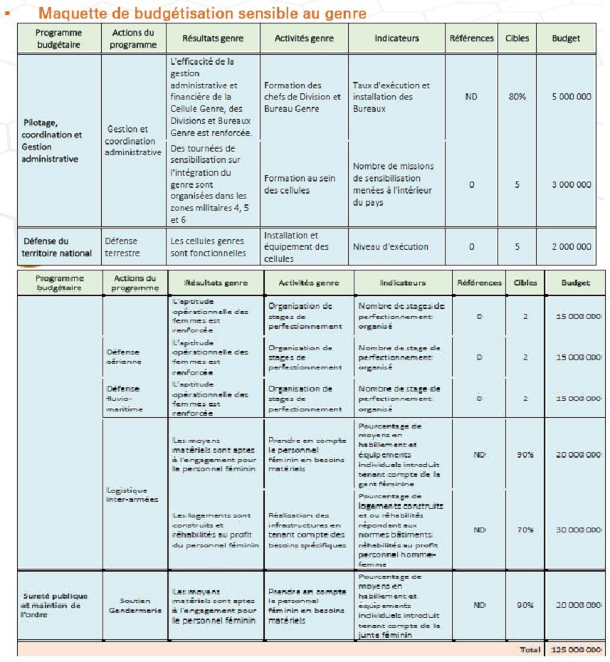 Intégration du Genre au Ministère des Forces armées (MFA) : le bilan de ses réalisations, ses contraintes et perspectives