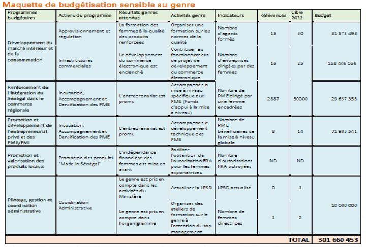 Ministère du Commerce et des Petites et Moyennes entreprises: Bilan, contraintes et perspectives d’un secteur clé pour le genre