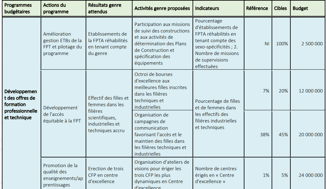 Ministère de l'Emploi, de la Formation professionnelle, de l'Apprentissage et de l'Insertion (MEFPAI): Entre réalisations, contraintes et défis