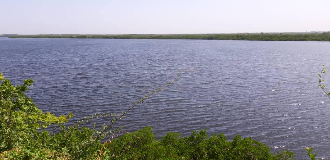 Toubacouta: Une Mangrove de 7000 ha, Jorom Bou Mak, une île vieille de 3 siècles, des...