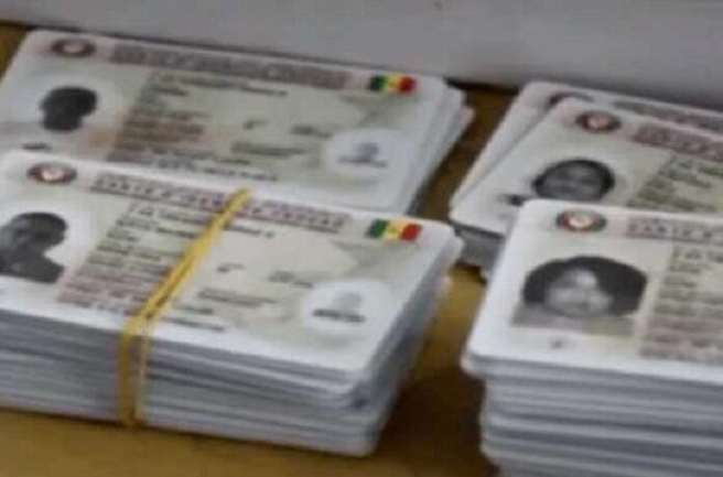 Confiscation présumée de cartes d'électeurs à Kaolack: Près de 80% sont en souffrance à la préfecture, selon "Andu nawle And Ligguey"