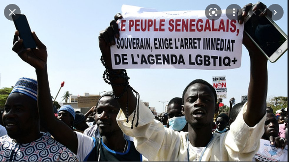 Elections locales: Rejet du projet de loi Lgbt par l’Assemblée nationale, un facteur favorisant de la débâcle de « BBY» ?