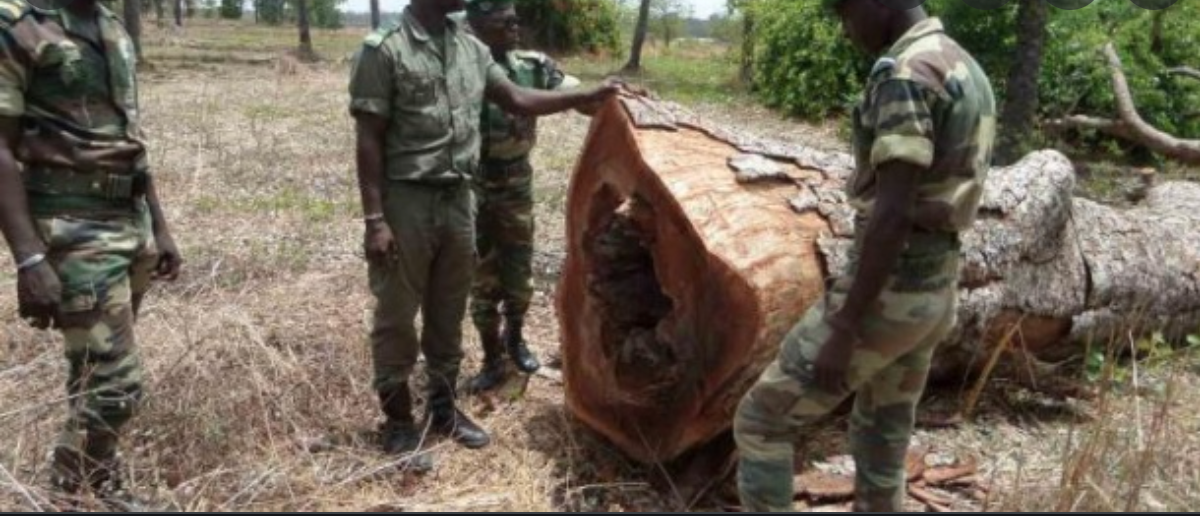 Accrochage en Gambie / 9 militaires sénégalais portés disparus: L’armée suspecte le MFDC