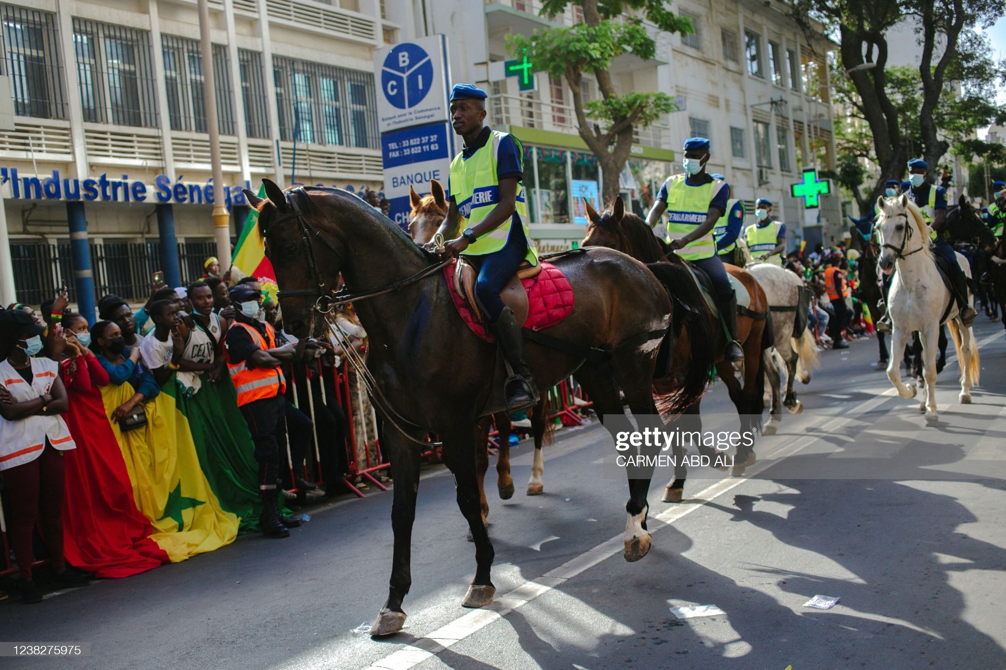  Photos / Après leur arrivée, les "Lions" en direction du Palais