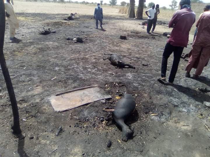 Incendie à Kaolack: Les flammes ravagent le village de Ndiokél