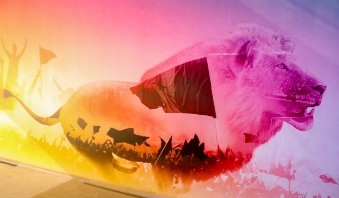 Stade du Sénégal: L'entretien tournera autour de 800 millions F CFA (images)