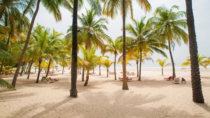 Destination: Le Sénégal confirme son attractivité