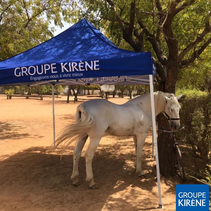 Course hippique : Le Groupe Kirène à cheval pour accompagner le Grand Prix GMD